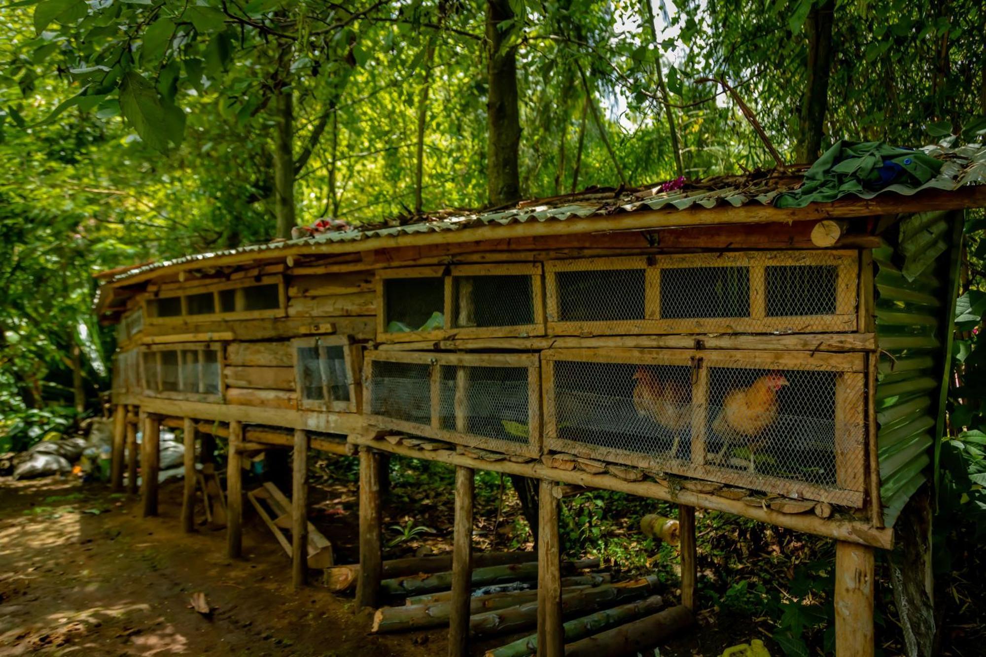 روهينجيري Fravan Eco Resort By Apogee المظهر الخارجي الصورة