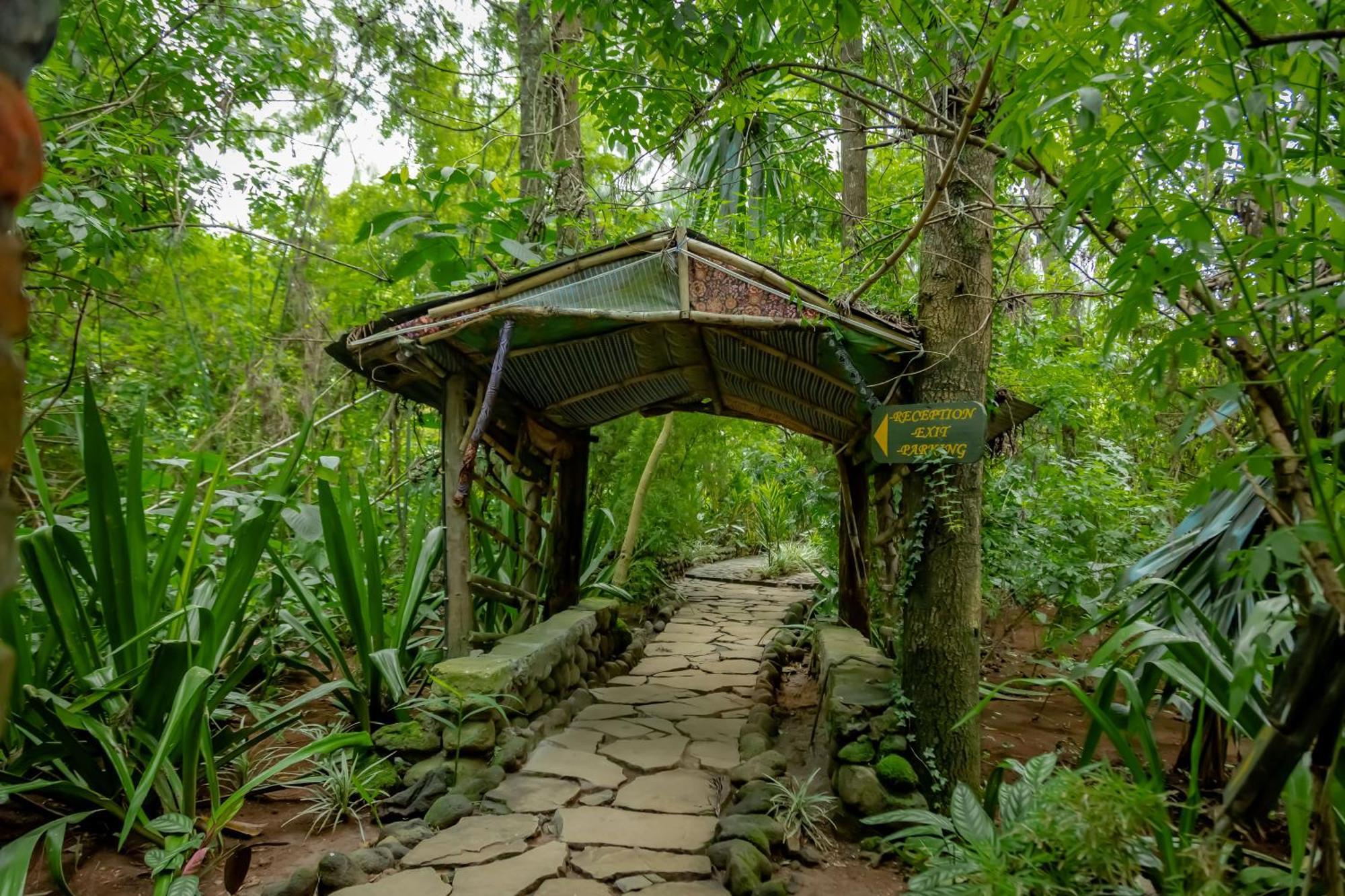 روهينجيري Fravan Eco Resort By Apogee المظهر الخارجي الصورة